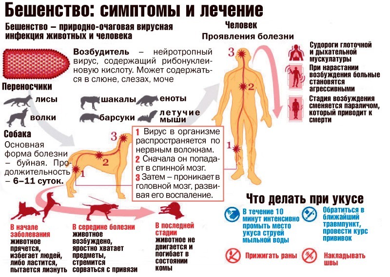 Вас еще не обливали кипятком в общественных местах?